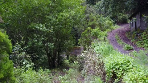 Aerial flight abandoned building ruin hidden between bushes in mountain forest Stock Footage