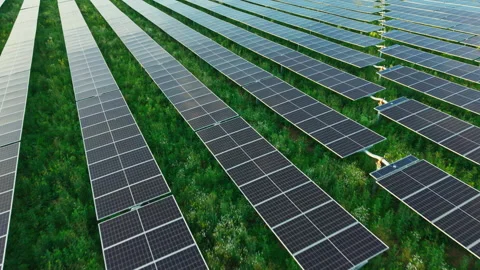 Aerial Flight Above Parallel Solar Panel Rows Stock Footage 340546253