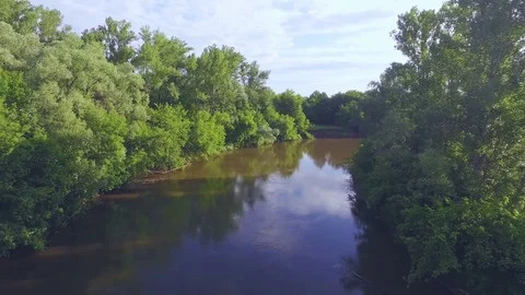 AERIAL: Flight above the river between large trees at sunrise. Stock Footage 82470658