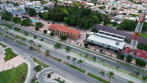Aerial flight along a palm lined boulevard in a city Stock Footage 342062739