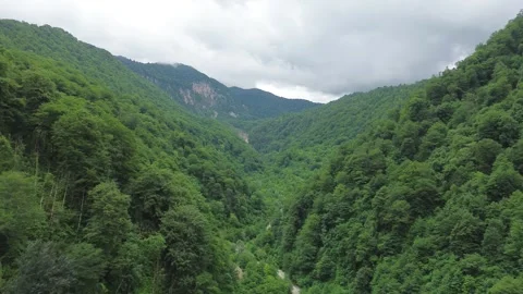 Aerial Flight Approaching Forested Peak in Gorge, Egrisi Range Video stock 341834382