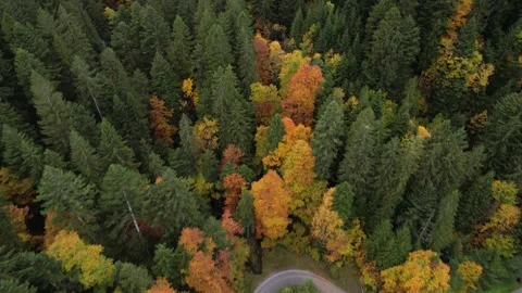 Aerial flight back to reveal a tiny person hiking in beautiful autumn 库存影片 164167801
