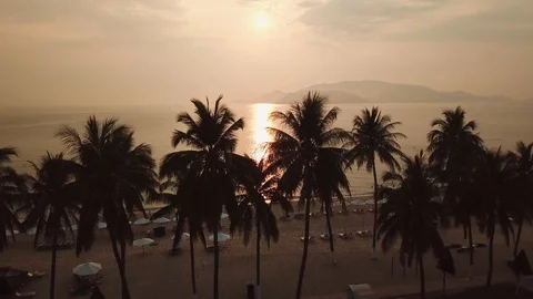 Aerial flight between beautiful palm orange sunrise beach tropical exotic tour Stock Footage 107122016
