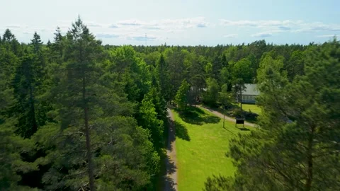Aerial flight between treetops of lush green forest in Skidstugan Vanersborg Stock Footage 331010760