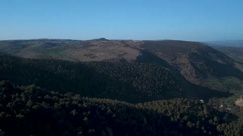Aerial Flight Biriya Forest to Ein Zeitim 스톡 동영상 331206221