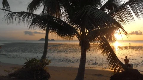 Aerial flight close-up to palm trees on the beach against colorful sunset and Stock Footage 102226832