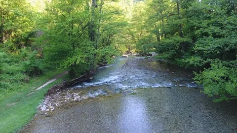 Aerial flight down mountain river with rapids between trees Stock-Footage 101660420