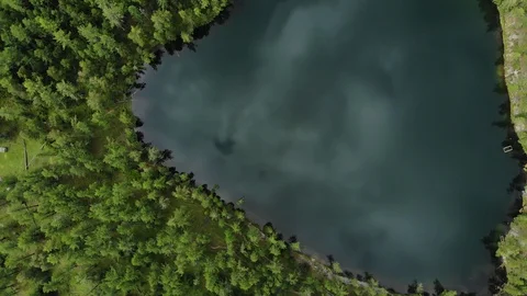 Aerial flight up to down under emerald forest lake. Altai 動画素材 103372725