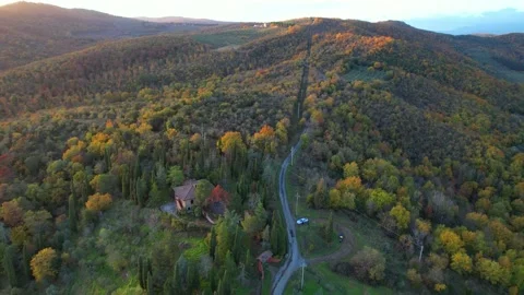 Aerial flight drone view forest and narrow street Tuscany Hill at sunset Italy 스톡 동영상 167982479