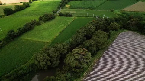 Aerial flight following a river through farmland Stock Footage 342062264