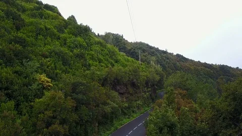 Aerial flight following truck on green mountain forest road 4k Stock Footage