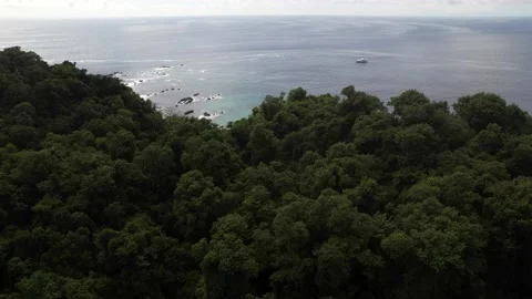 Aerial flight from the forest to the beach Stock Footage 234660428