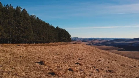 Aerial flight forward over the forest to the mountains Stock Footage 83654272