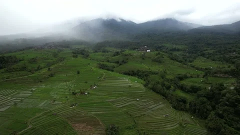 Aerial flight forward over rice terraces. Located near high mountains Stock Footage 233518967