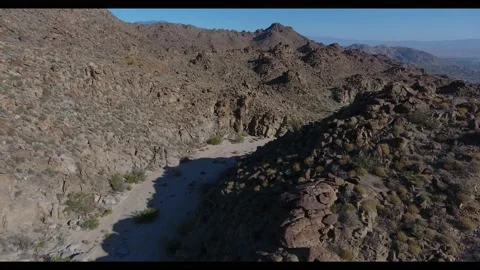 Aerial Flight in Mountains Desert Springtime full of Blooming Cacti Canyon Wash Stock Footage 147355893