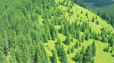 Aerial Flight in the Mountains. Stock Footage 67368492