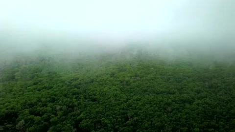 Aerial flight out of clouds over rainforest 스톡 동영상 151837980