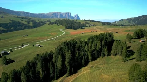 Aerial flight over alpine meadows with trees and mountains Stock-Footage 341327915