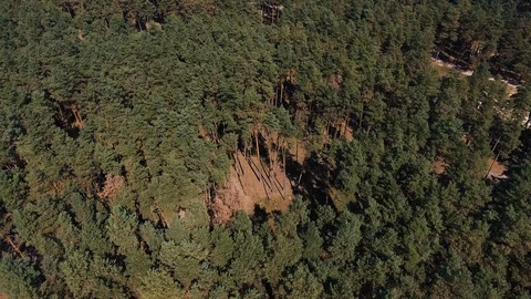 Aerial of flight over a beautiful pine forest with cityscape Stock Footage 127123130