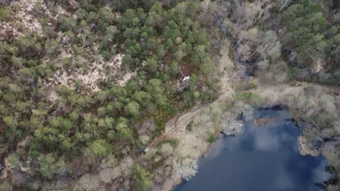 Aerial flight over a calm dark water lake, lush green forest Video stock 335199081