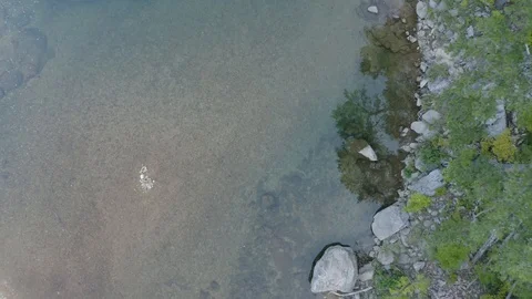 Aerial flight over a clear river Stock Footage 111582029