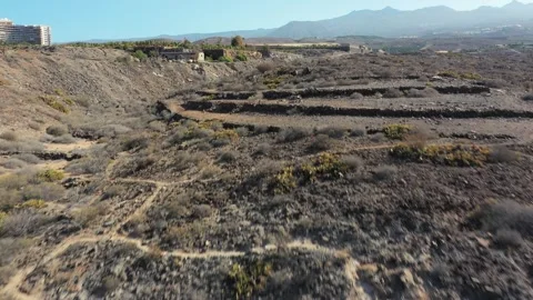 Aerial flight over cliffs and banana plantations El Balito Tenerife Stock Footage 330271995