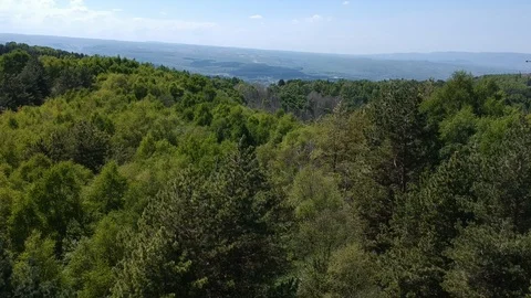 Aerial a flight over a dense forest Stock Footage 89662643