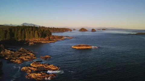 Aerial flight over dense forest and rocky coast near the ocean and lighthouse Stock Footage 162068189
