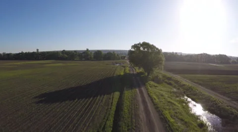 AERIAL: Flight over the  field Stock-Footage 50312074