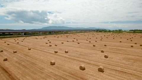 Aerial flight over the fields and next the highway. Video stock 87093290