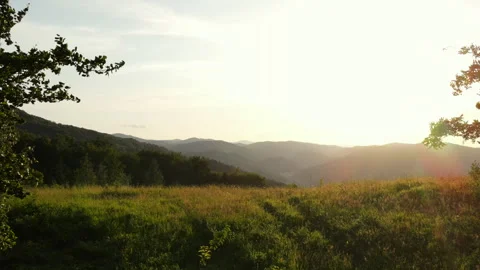 Aerial flight over forest and beautiful majestic mountains during warm sunrise Stock Footage 246826014