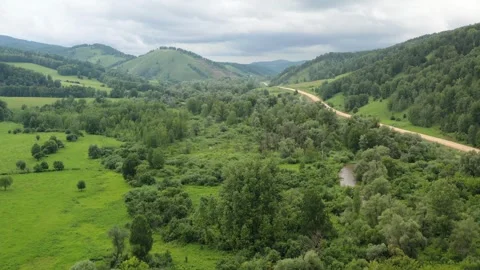Aerial flight over forest and mountain dirt road Stock Footage 249407466