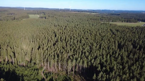 Aerial Flight Over Forest and Rural Countryside Toward the Horizon Stock Footage 345002717