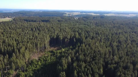 Aerial Flight Over Forest and Rural Countryside Toward the Horizon Stock Footage 345002850