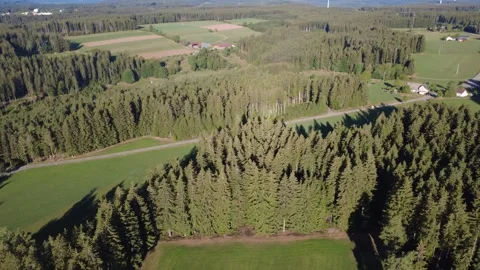 Aerial Flight Over Forest and Rural Countryside Toward the Horizon Stock Footage 345003341