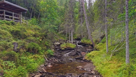 Aerial Flight Over Forest Cabin and Mountain Stream in Norway Stock Footage 319942840