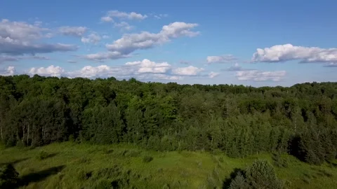 Aerial: Flight Over a Forest Stock Footage 138115480