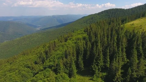 Aerial:  flight over forest in mountain Video stock 79501737