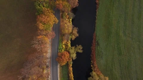 Aerial Flight Over Forest Road and River Stock Footage 321292446