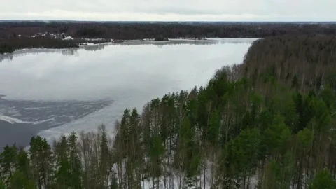 Aerial flight over forest towards frozen lake in winter Video stock 333828599