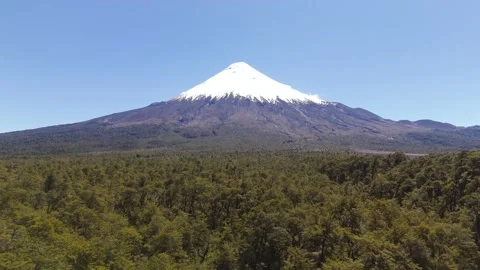 Aerial Flight Over Forest Treetops Towards Osorno Volcano in Petrohue Chile Video stock 325820062