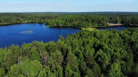 Aerial flight over forested hill and blue lake Stock Footage 92332046