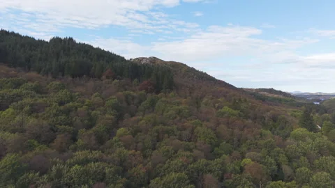 Aerial Flight Over Forested Hillside in Sveio, Norway Видео 345086519