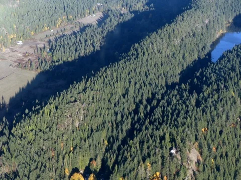 Aerial flight over forrest fields North America Stock Footage 81803897