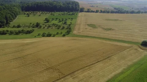 Aerial flight over grain fields and agricultural landscape in summer Stock Footage 335859007