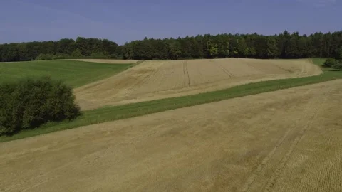 Aerial flight over grain fields and agricultural landscape in summer Stock Footage 335859015