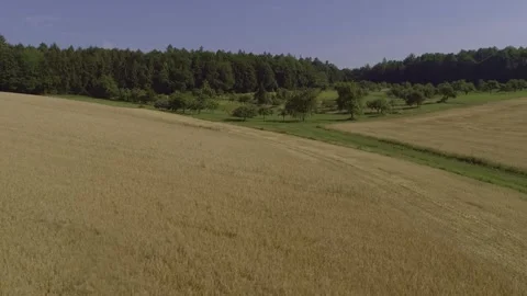 Aerial flight over grain fields and agricultural landscape in summer Stock Footage 335859017