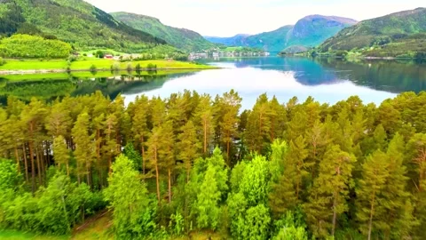 Aerial flight over green forest toward a mountain lake Stock-Footage 341328992