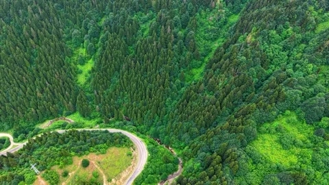 Aerial Flight Over Green Mountain Forests with Downward Camera Movement Stock Footage 339430237