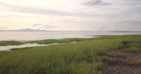Aerial flight over high-grass moving backward at La Pocatiere 動画素材 229966495